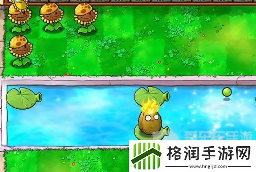 植物大战僵尸杂交版挑战模式第19关怎么过