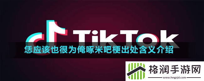 恁应该也很为俺啄米吧是什么梗