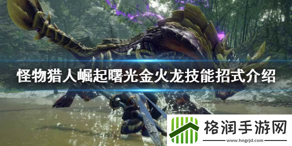 怪物猎人崛起金火龙怎么打