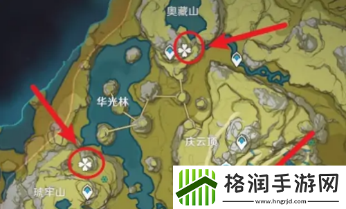 原神五星食谱仙跳墙怎么获取