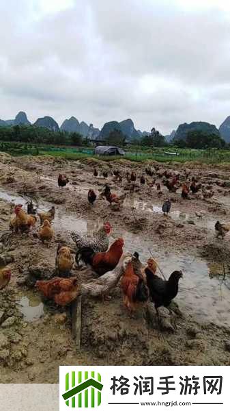 如何进入梦里超级肉禽系统的