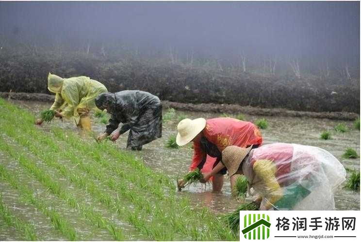 男女插秧二十三方法