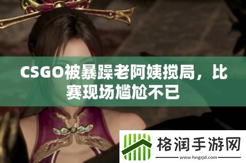 暴躁老阿姨玩CSGO网友