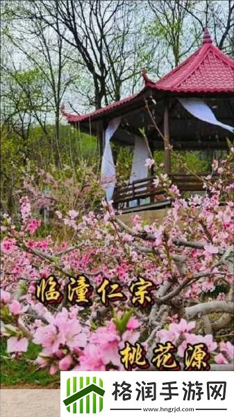 母亲的桃花源里流水