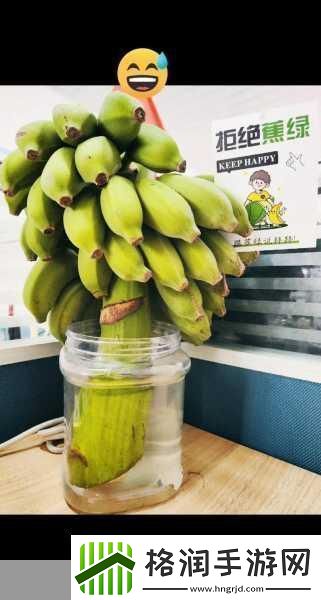 香蕉夜夜草草久久亚洲香蕉1.香蕉的魅力