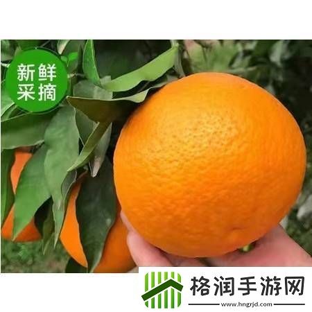 内容丰富采蜜1V.1H采意方橙的魅力探讨青松资讯