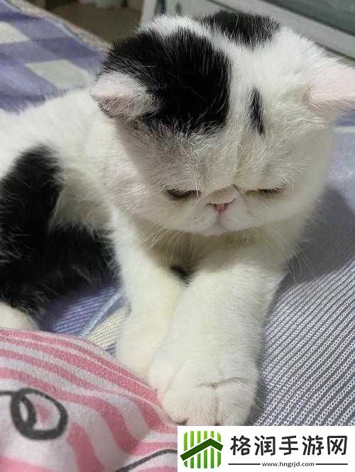 宝宝下面湿透了还嘴硬怎么回事儿