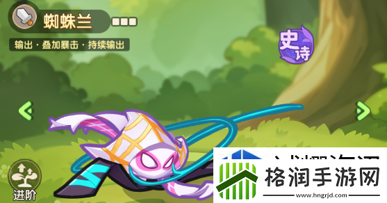 保卫向日葵蜘蛛兰植物图怎么样