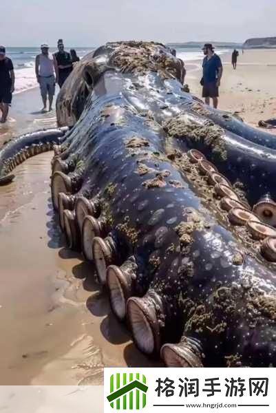 八爪鱼紧缩术能达到什么效果