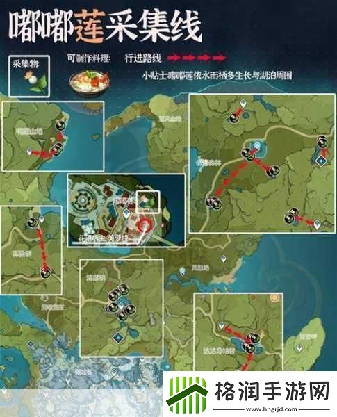 原神嘟嘟莲采集指南