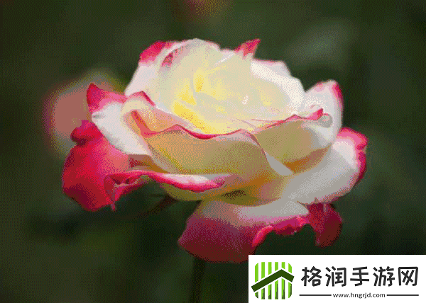 色彩变幻如梦如幻——动态色图