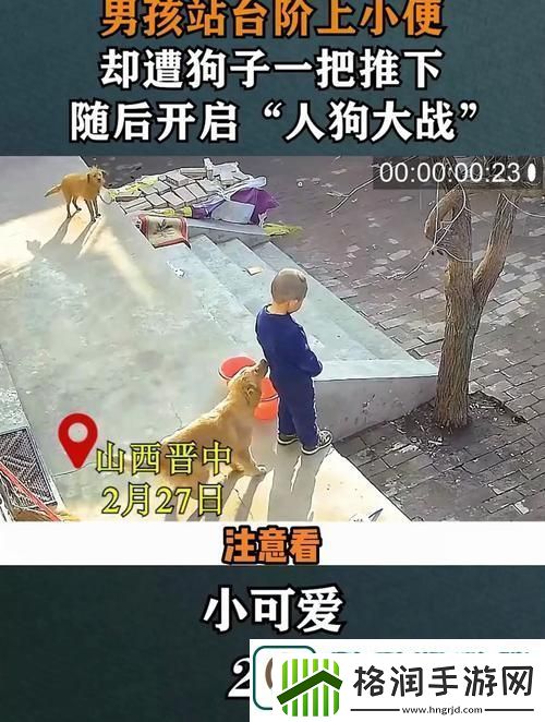 轻松获取“人狗大战2”中文版观看渠道