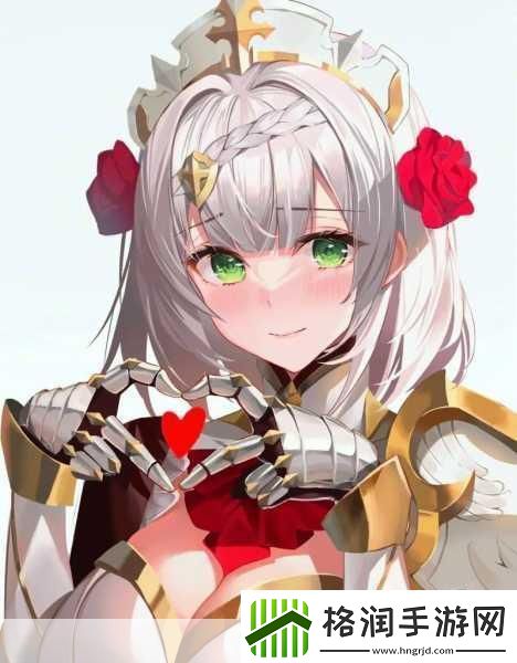 诺艾尔武器搭配全攻略