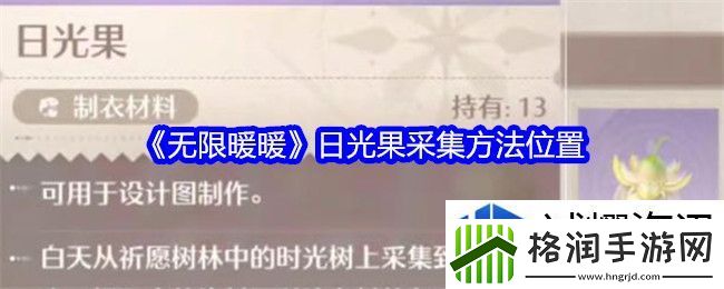 地图探索宝藏猎人