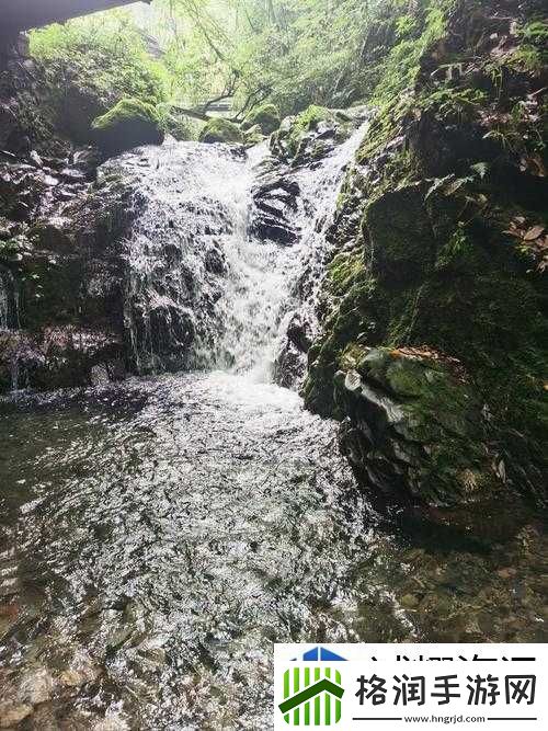 战队组建合作艺术