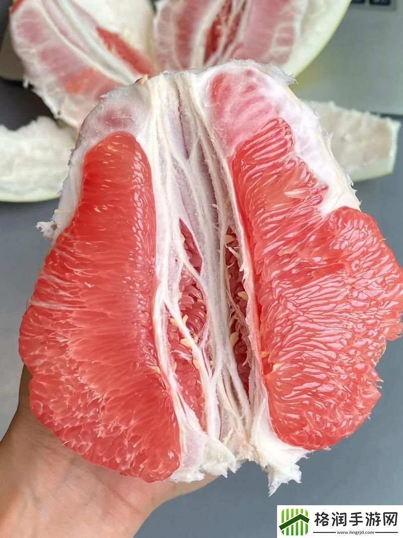 多功能蜜柚6.6赋予生活更多可能青松资讯