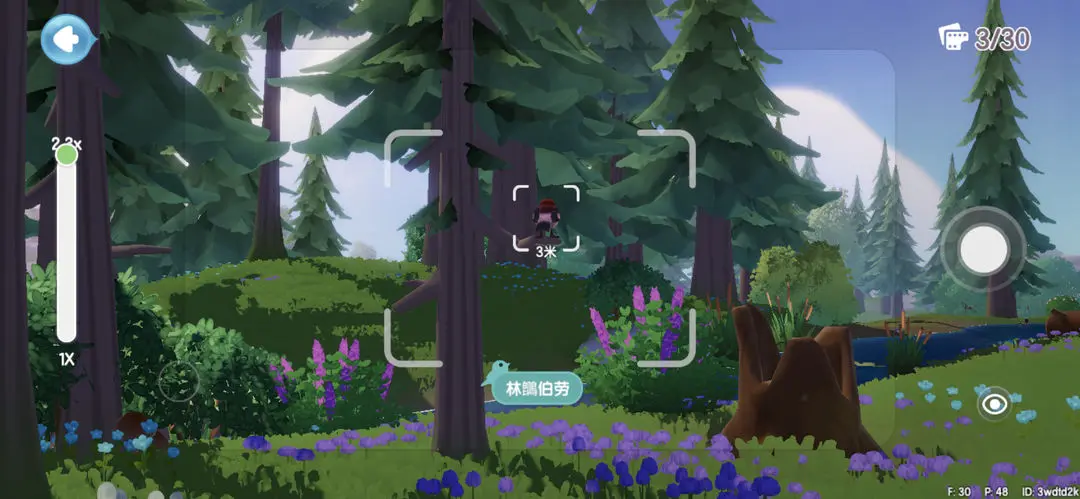 心动小镇捕捉鸟类位置攻略