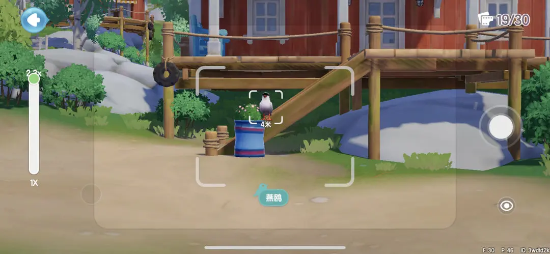 心动小镇捕捉鸟类位置攻略