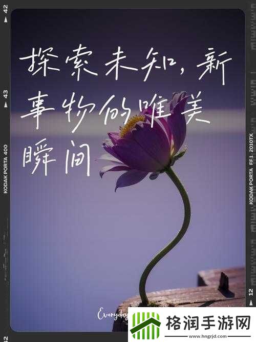 成免费CRMWWW九幺