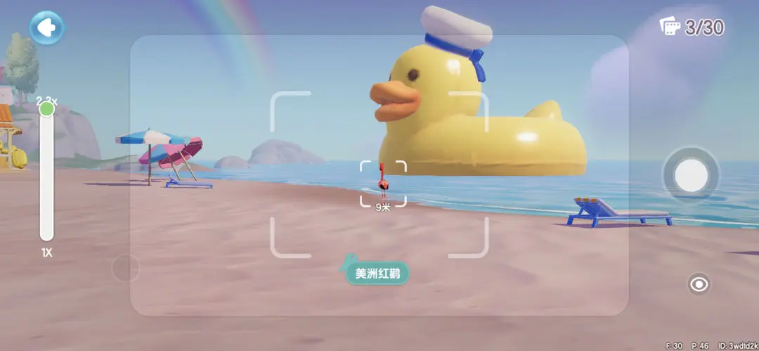 心动小镇捕捉鸟类位置攻略