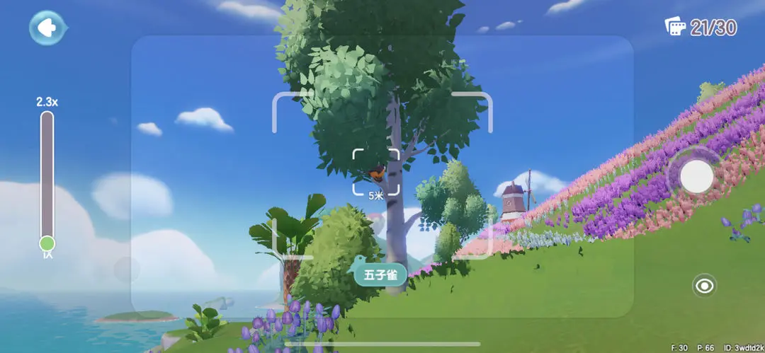 心动小镇捕捉鸟类位置攻略