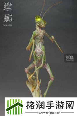 变异螳螂需要配备哪些装备