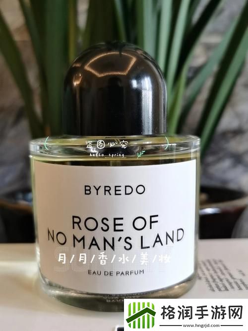 “夜色”玫瑰花价豪横过“无人区”！