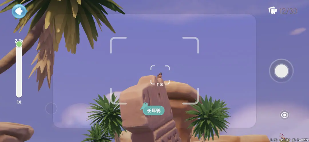 心动小镇捕捉鸟类位置攻略