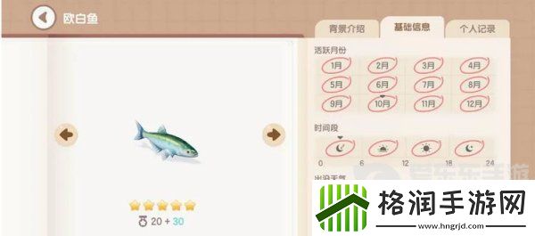 心动小镇欧白鱼钓鱼在哪