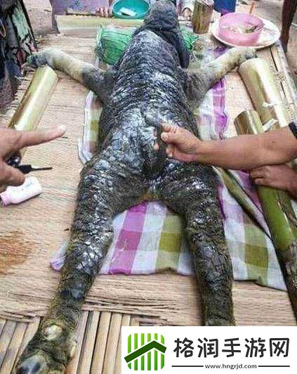 高清人和猪又细又长像钻头