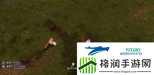 逆水寒手游仙居原动物好感度怎么提升