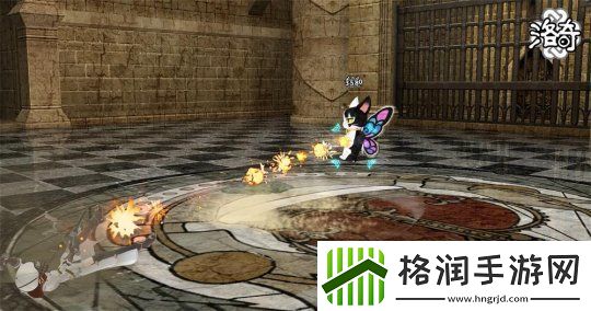 洛奇健康与长寿的守护者