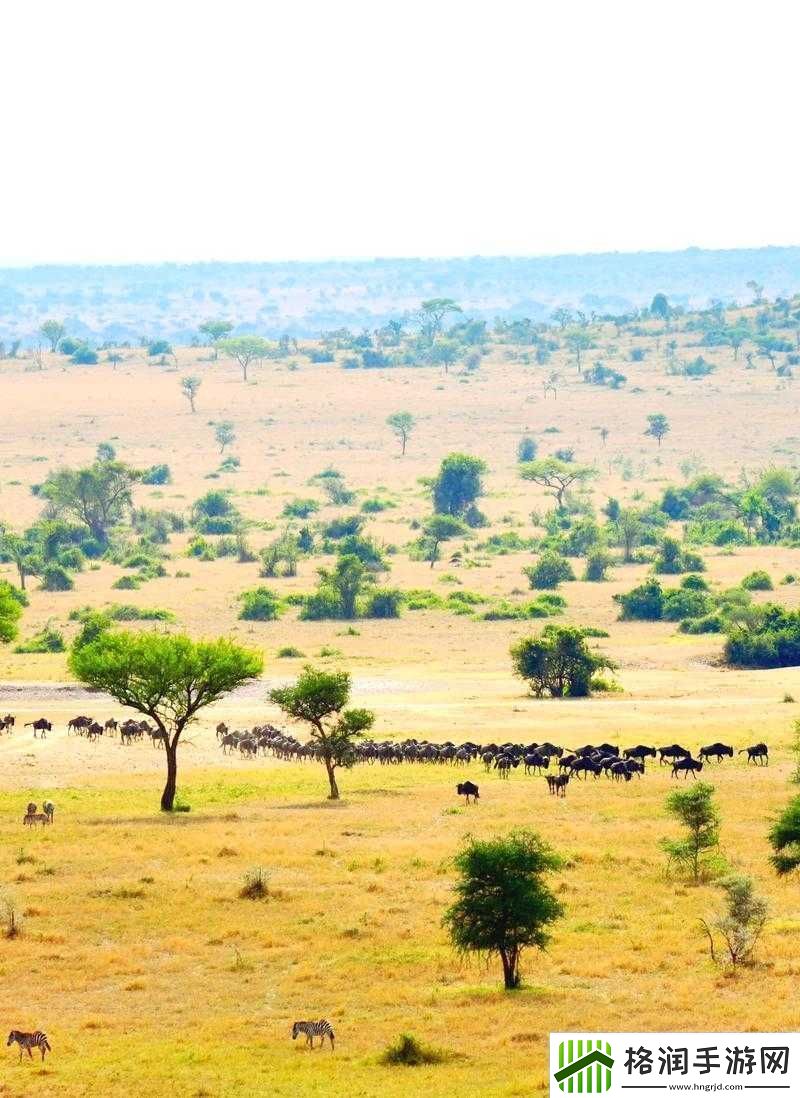 非洲一个色彩斑斓的大陆