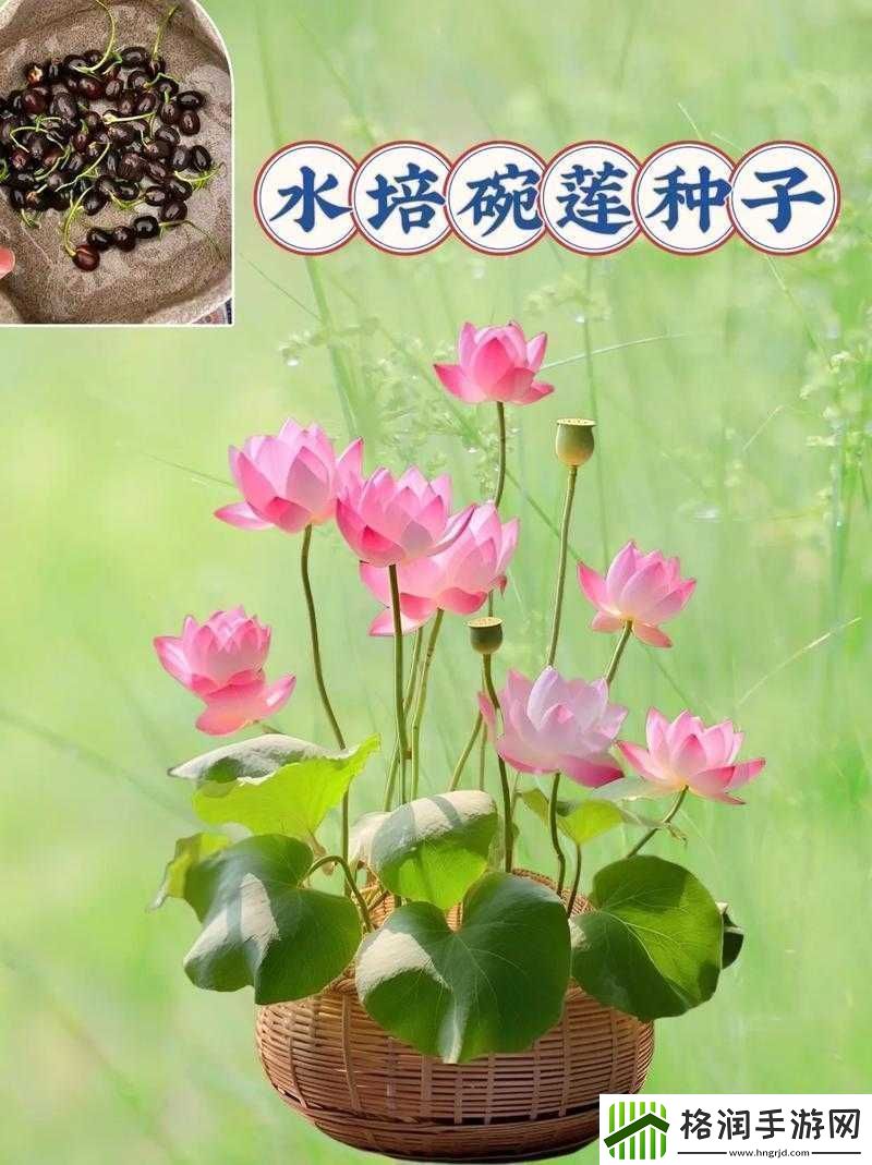 女人半夜莲花开很难受怎么办之相关解决办法探讨