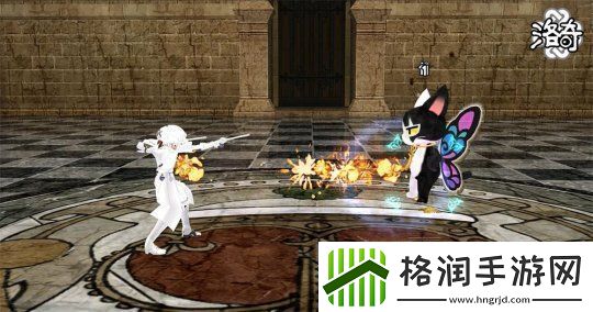 洛奇健康与长寿的守护者