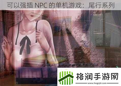 可以强插NPC的单机游戏