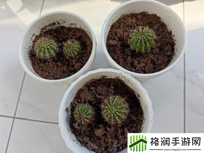 小东西好几天没弄了还能吃吗