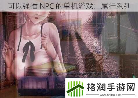 可以强插NPC的单机游戏