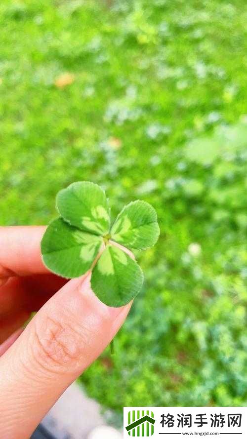 揭秘四叶草试验室