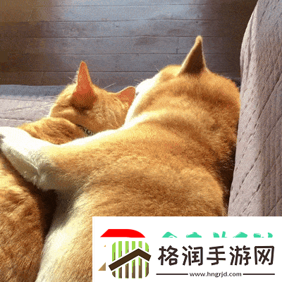 嗯嗯啊啊动态图