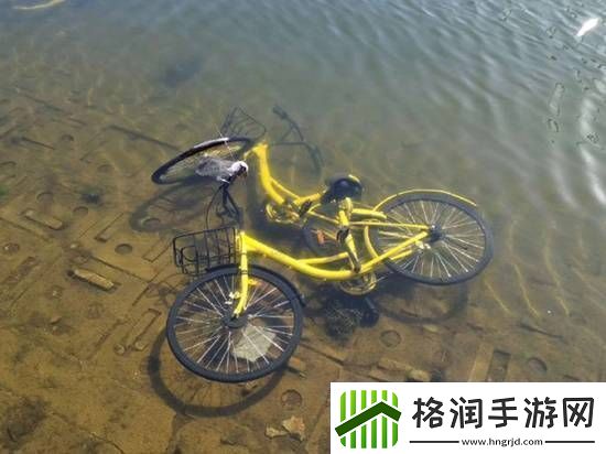 共享单车被丢河里每月可捞数百辆捞一辆需要6个人