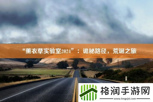 “薰衣草实验室2024”