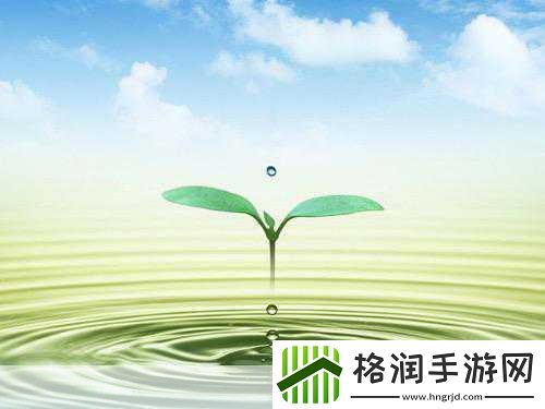 洛克王国生命之泉