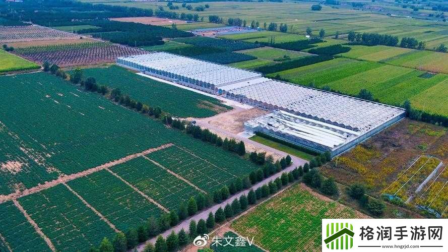 精产一二三产区