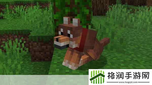 我的世界动物驯服秘籍