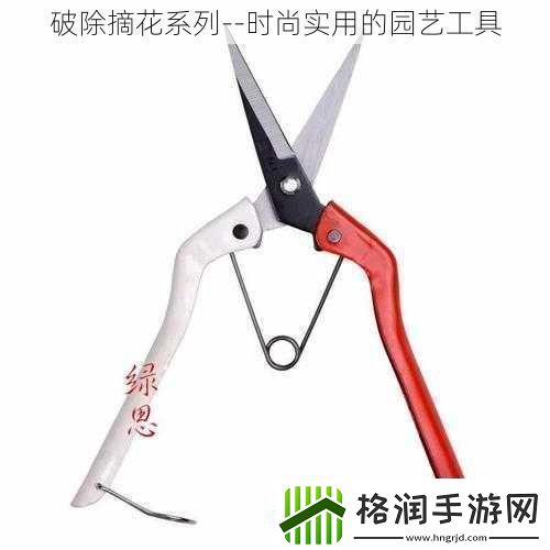 破除摘花系列时尚实用的园艺工具