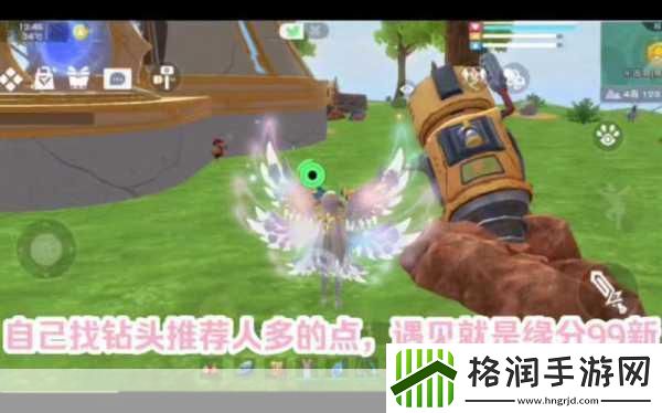 避难所宠物大揭秘