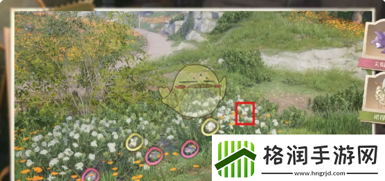 无限暖暖照片调查任务攻略大全无限暖暖照片调查任务如何完成的