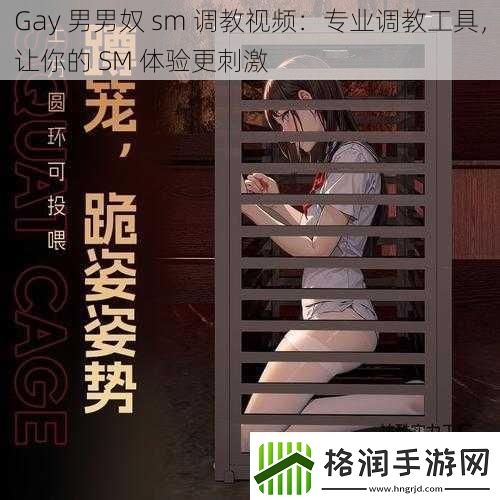 Gay男男奴sm**视频