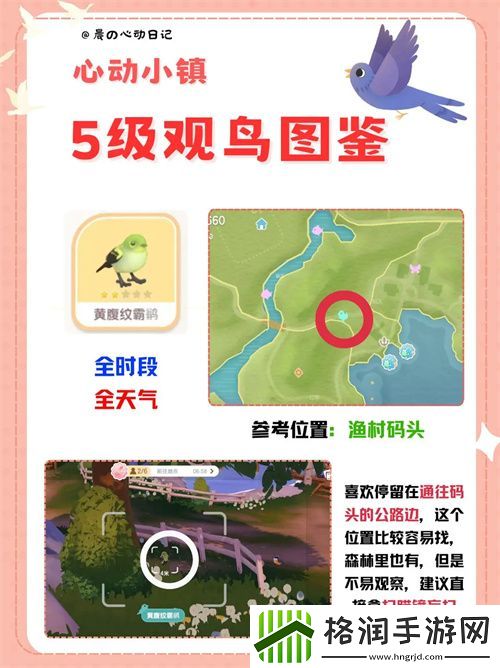 心动小镇五级观鸟详尽位置整理一览